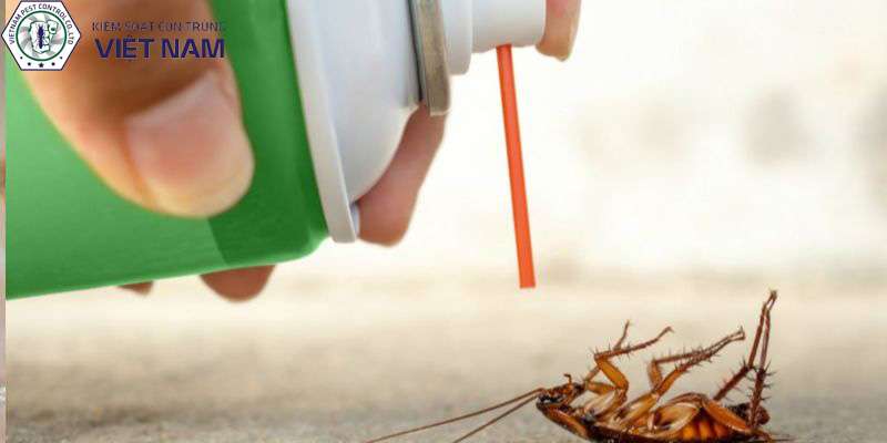 Thuốc diệt gián Nhật Bản sử dụng công nghệ hiện đại nhất