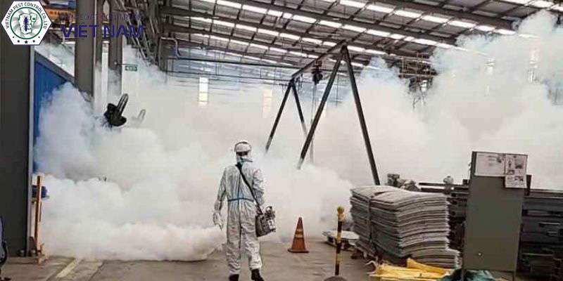 Xử lý muỗi bằng dịch vụ phun thuốc diệt muỗi tại quận Đống Đa
