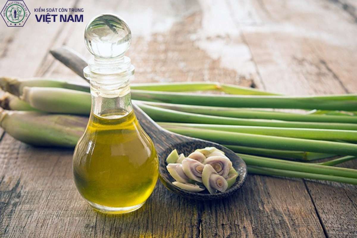 10 cách đuổi muỗi cho phòng ngủ an toàn hiệu quả nhất