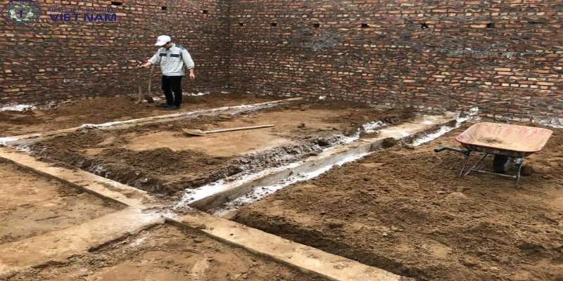 Thuốc chống mối - Giải pháp bảo vệ công trình hoàn hảo